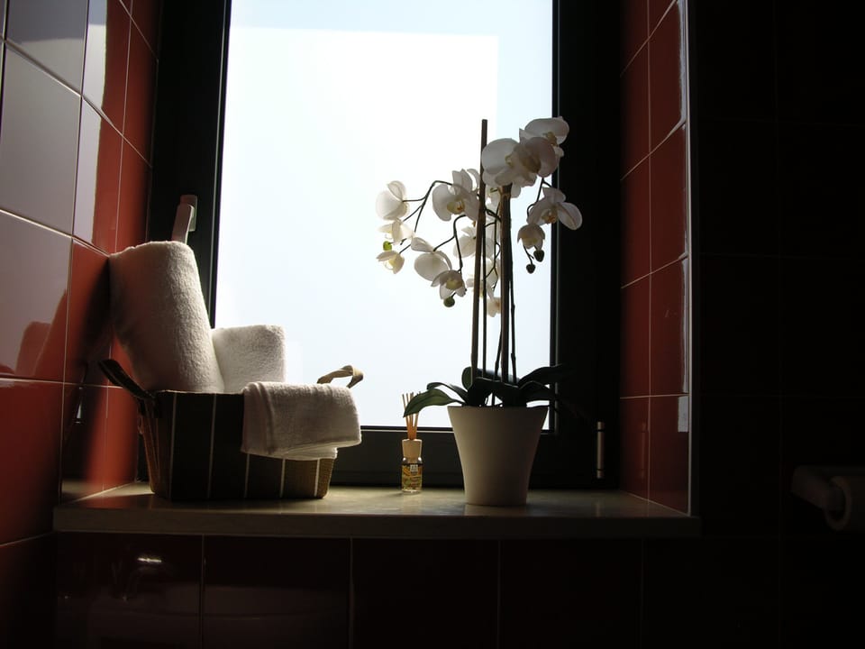 Shower, hair dryer, bidet, towels