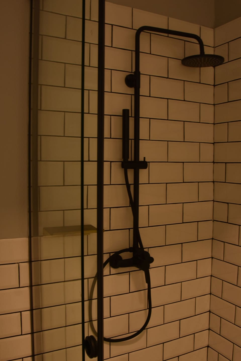 Towels, soap, shampoo, toilet paper