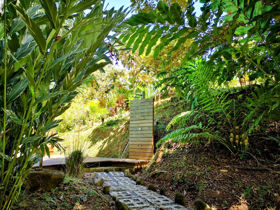 Thoas Lodge Hotel in Puntarenas Province