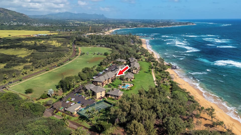 quick trip to Lydgate Park or Kapa'a