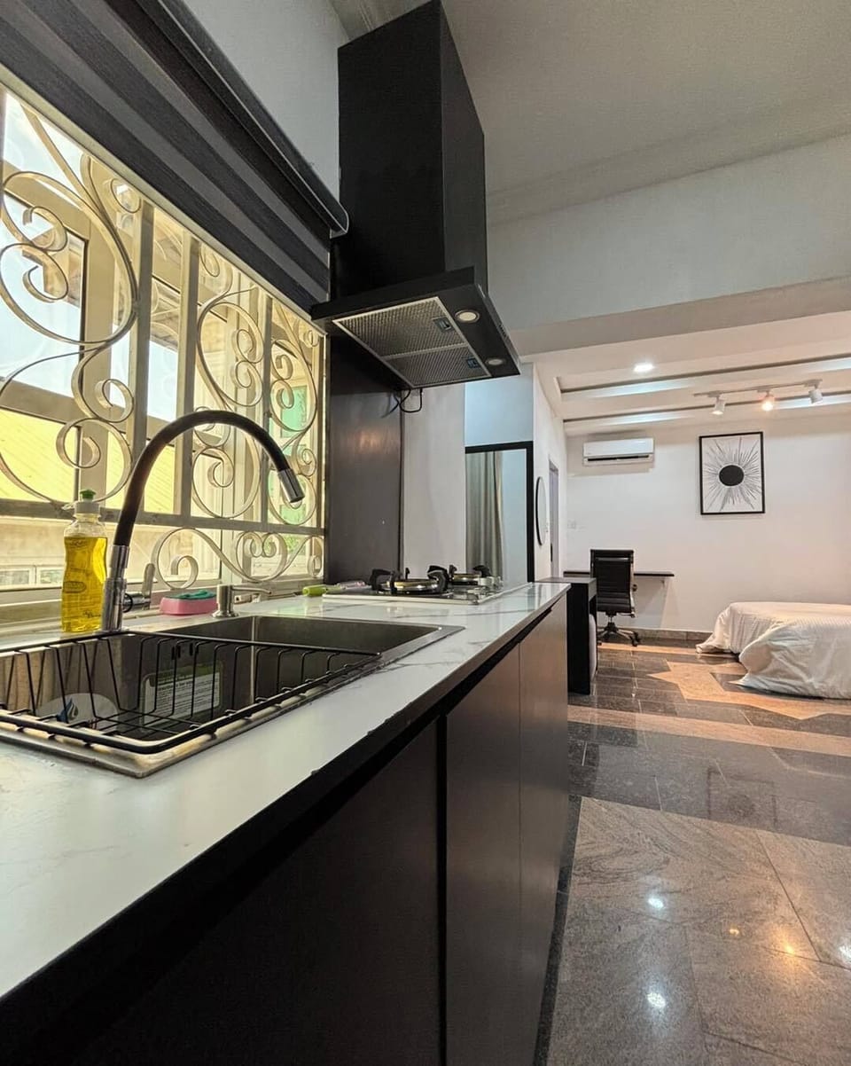 Economy Apartment, Balcony, City View | Private kitchen | Fridge, microwave, oven, stovetop