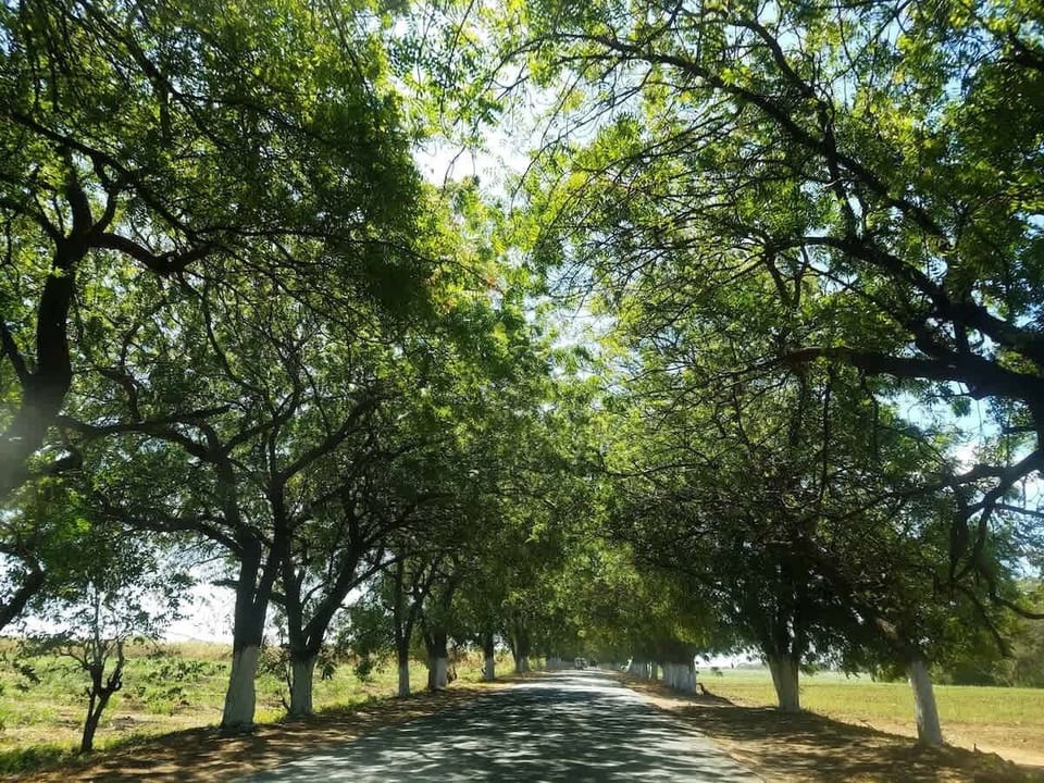 Beautiful Roads to Pochomil!