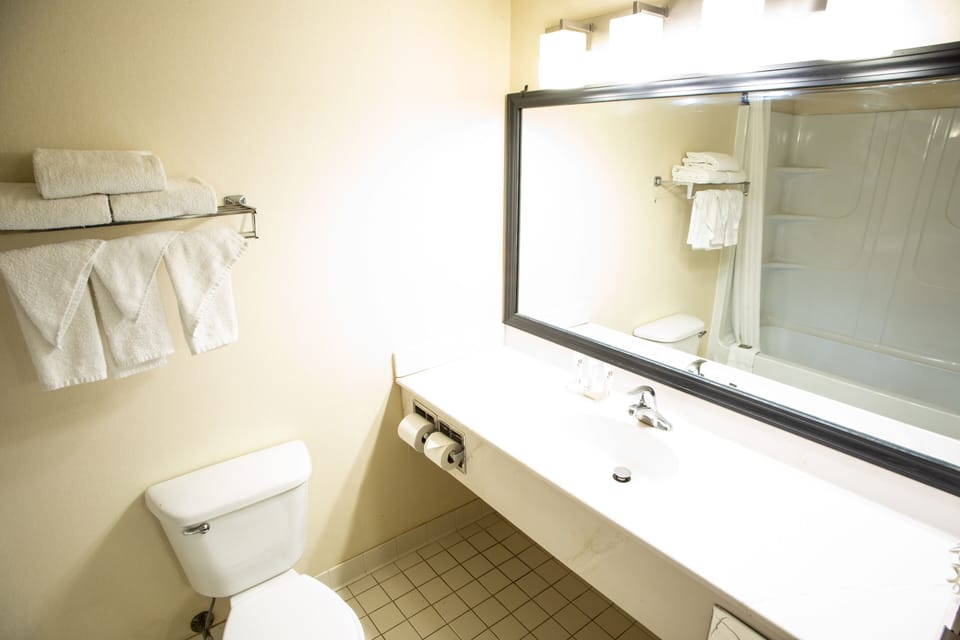 Combined shower/tub, free toiletries, hair dryer, towels
