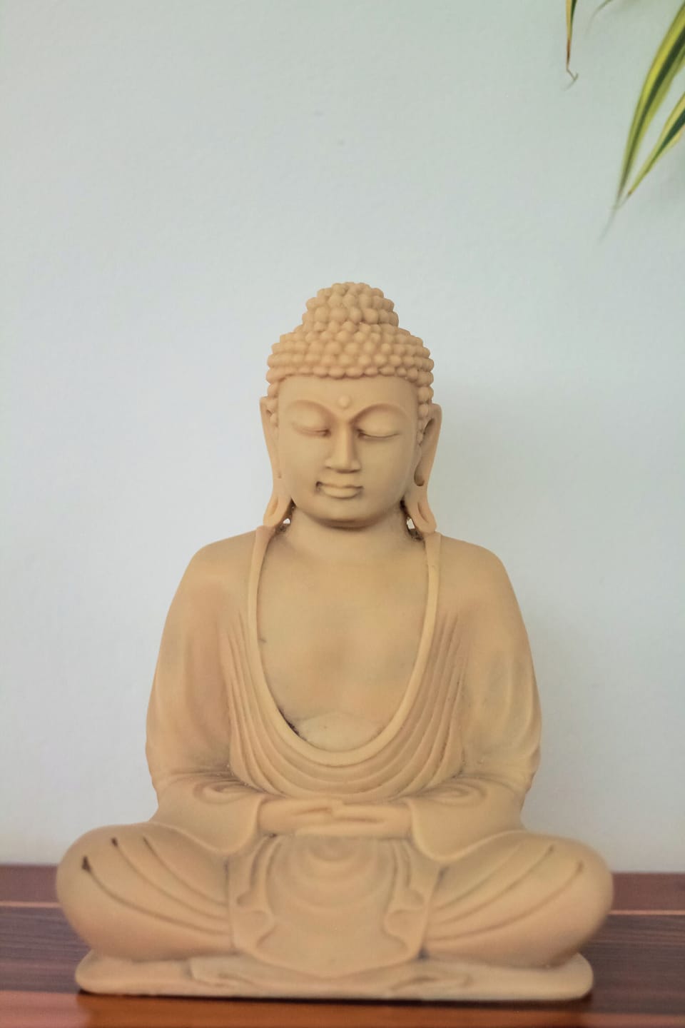 Aromatherapy, hot stone massages, facials, 1 treatment room