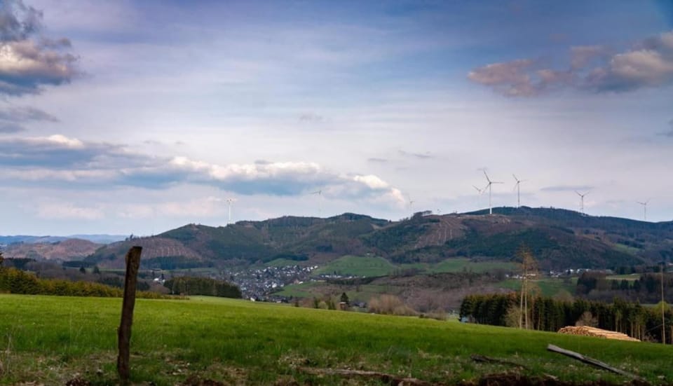 Region [summer] (>5 km)