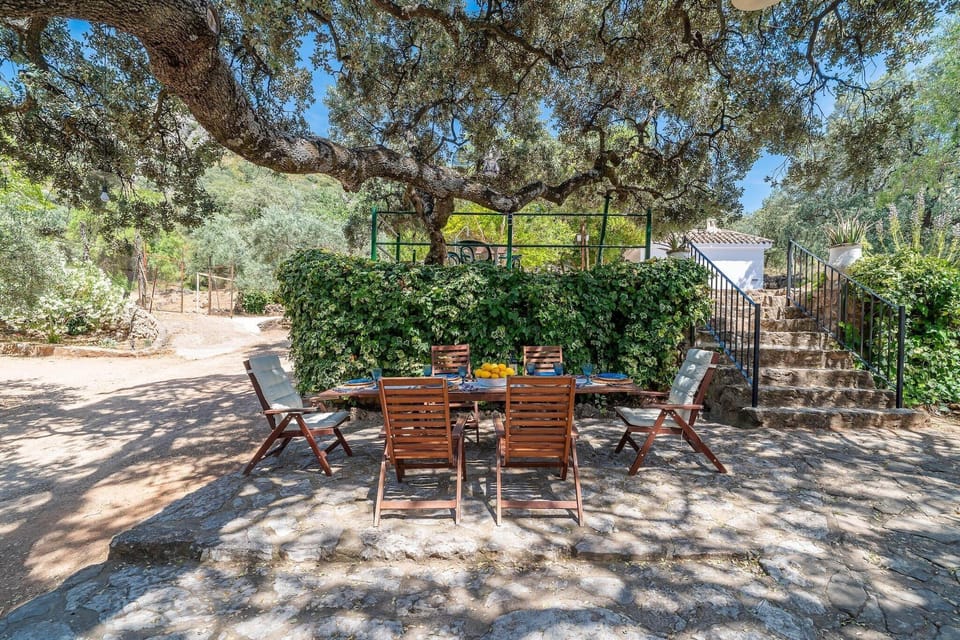 Patio / Balcony