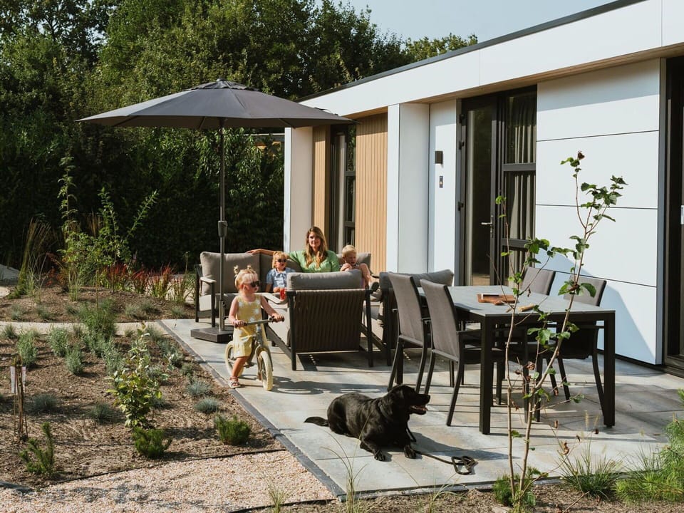 Furniture, Table, Outdoor Furniture, Outdoor Table, Garden, Chair, Shade, Backyard, Yard, Landscaping