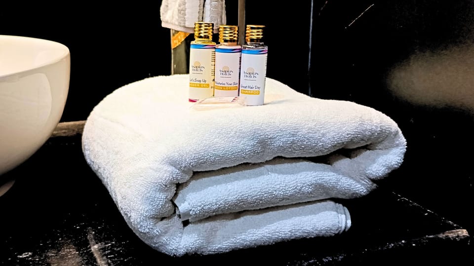 Superior Room | Bathroom | Shower, free toiletries, towels, soap