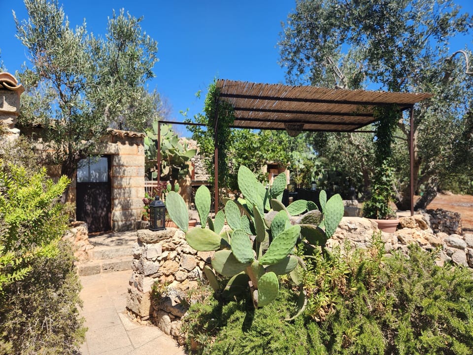 Side patio at the pajare, with outdoor dining area and entrance to the bathroom.