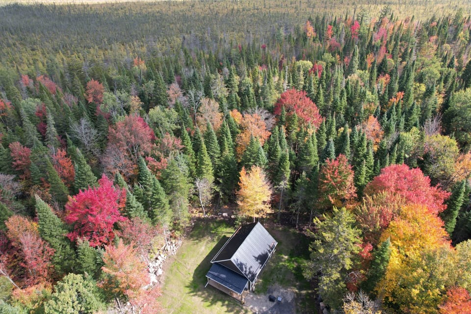 Fall scenic view