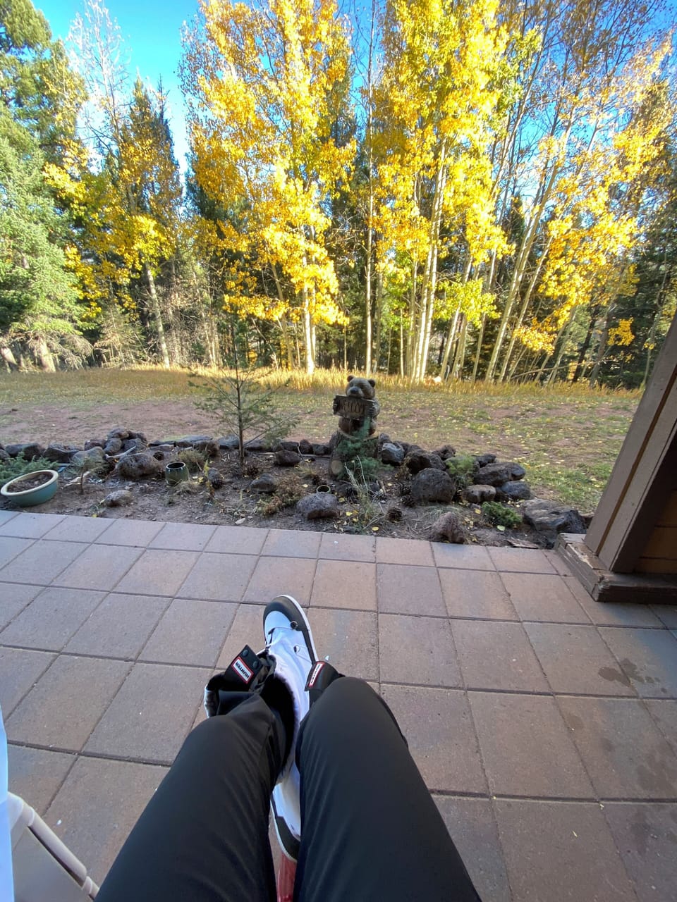 View from the patio