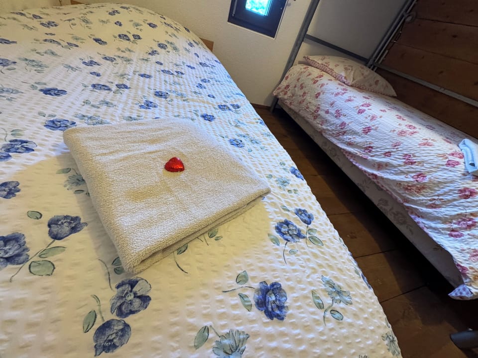 Basic Triple Room, 1 Bedroom, Mountain View, Mountainside | Premium bedding, laptop workspace, iron/ironing board, free WiFi