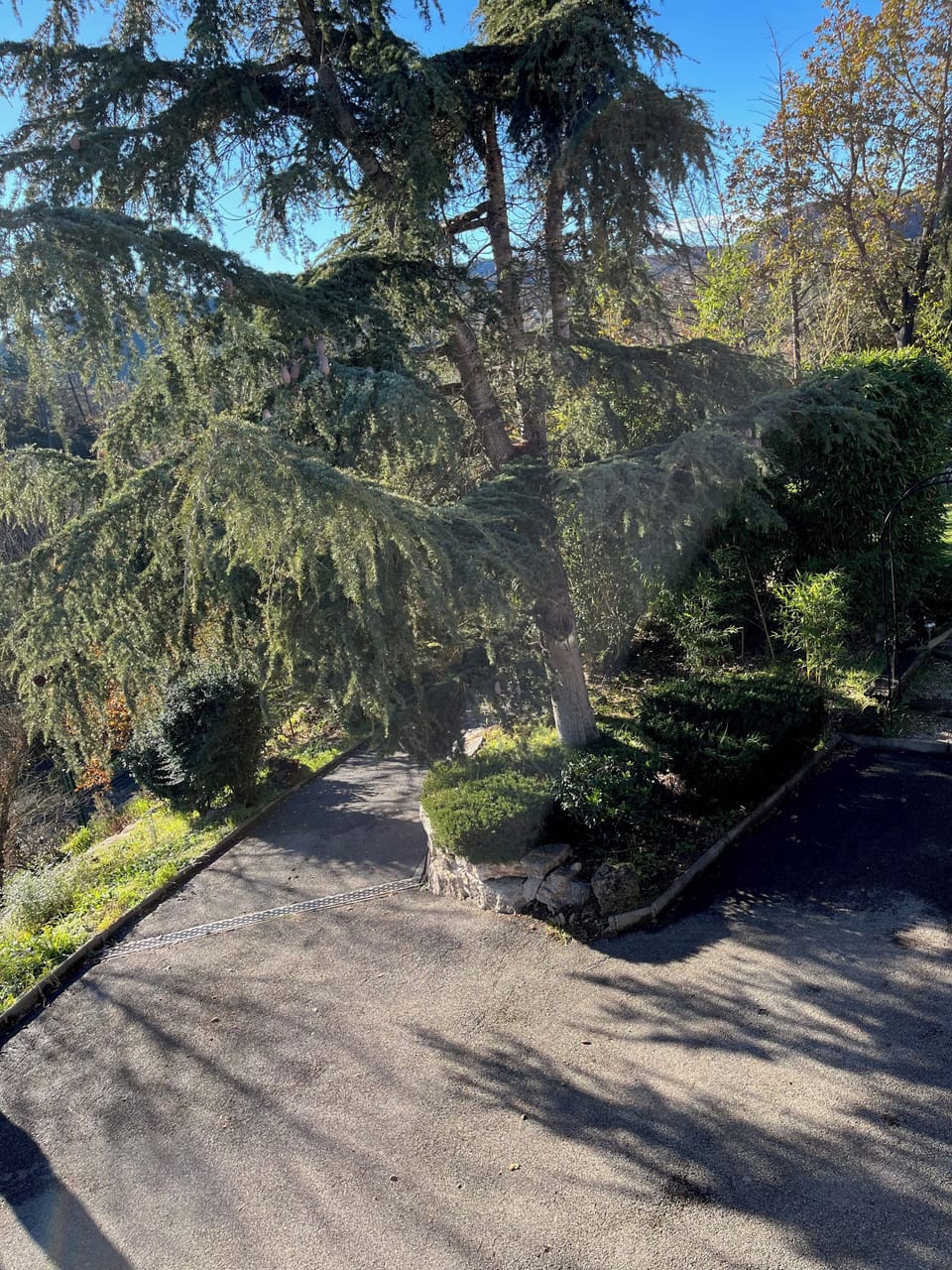 Miscellaneous