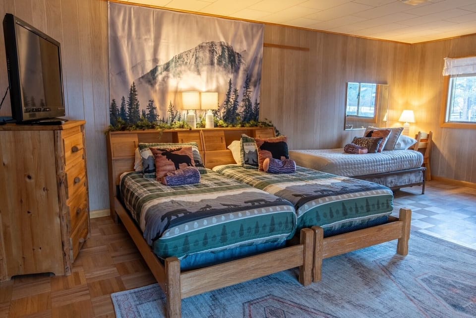 3 Twin Beds and a TV
