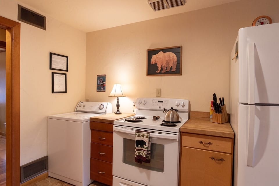 Kitchen Electric Stove