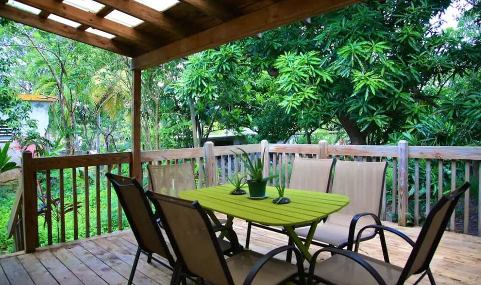 Back deck 