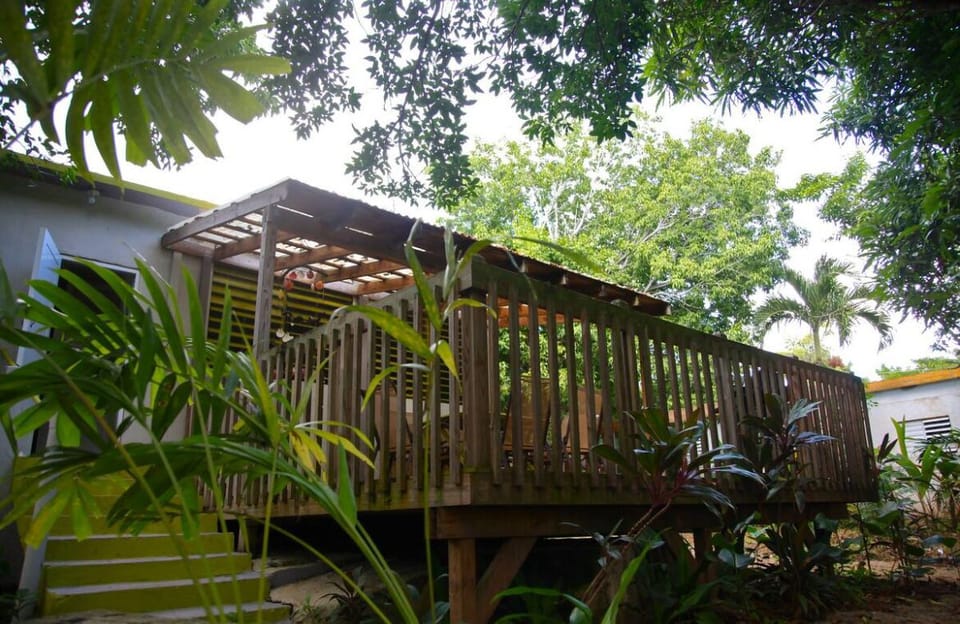 Back deck