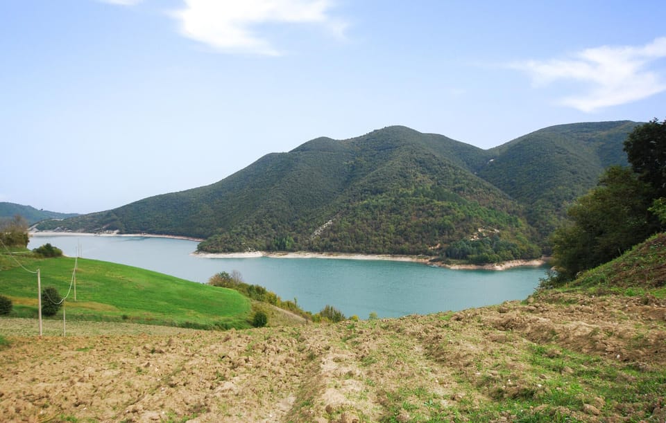 area