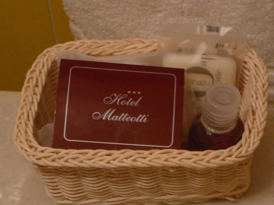 Rainfall showerhead, hair dryer, bidet, towels