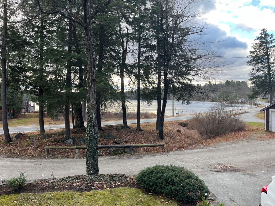 Lake View 