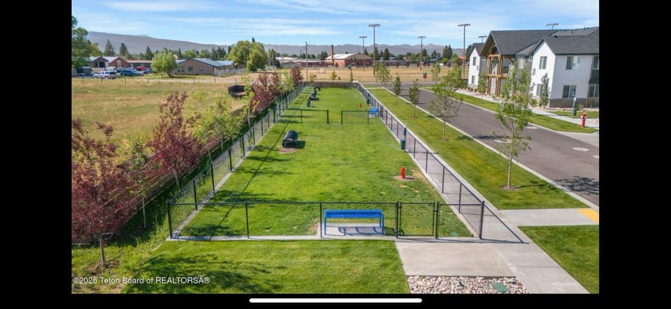 Dog park!