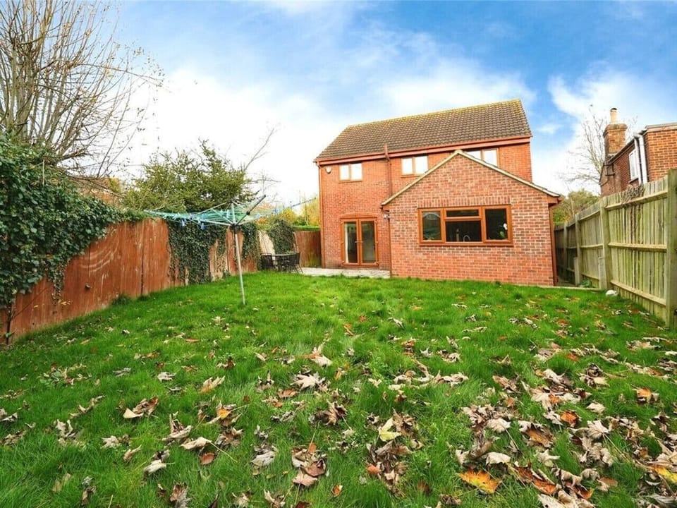 Back garden