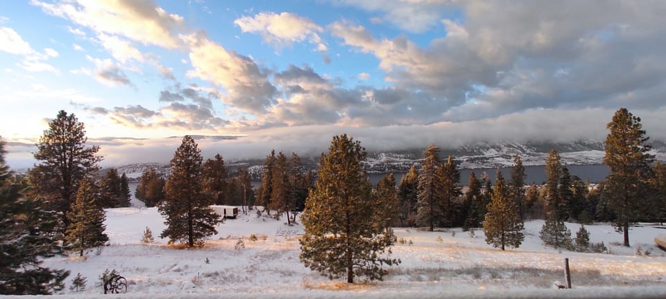 View from property