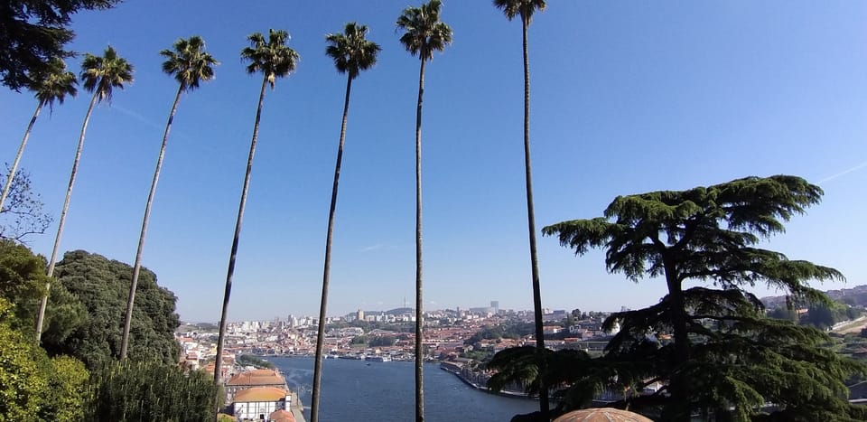 Porto Downtown Hotel in Porto
