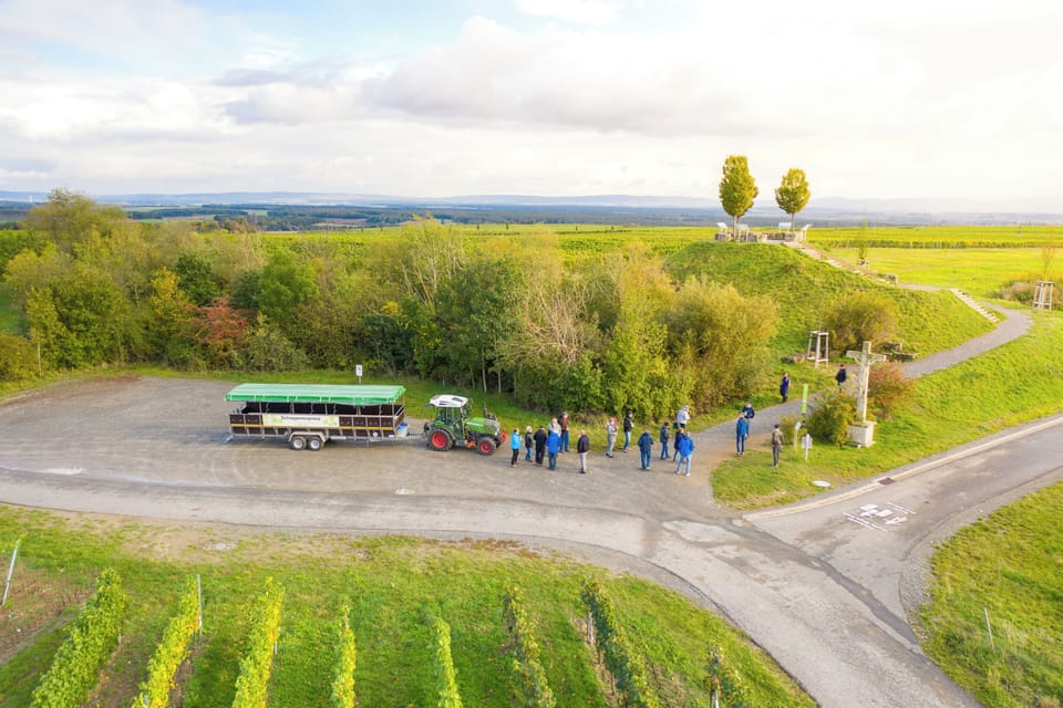 Weingut & Gästehof Borst Bed and Breakfast in Bavaria