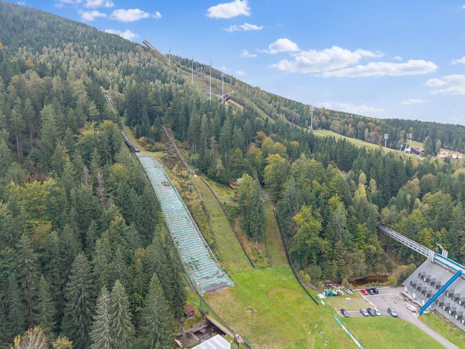 Tree, Landscape, Forest, Hill Station, Slope, Aerial Photography, Bird'S-Eye View, Evergreen, Larch
