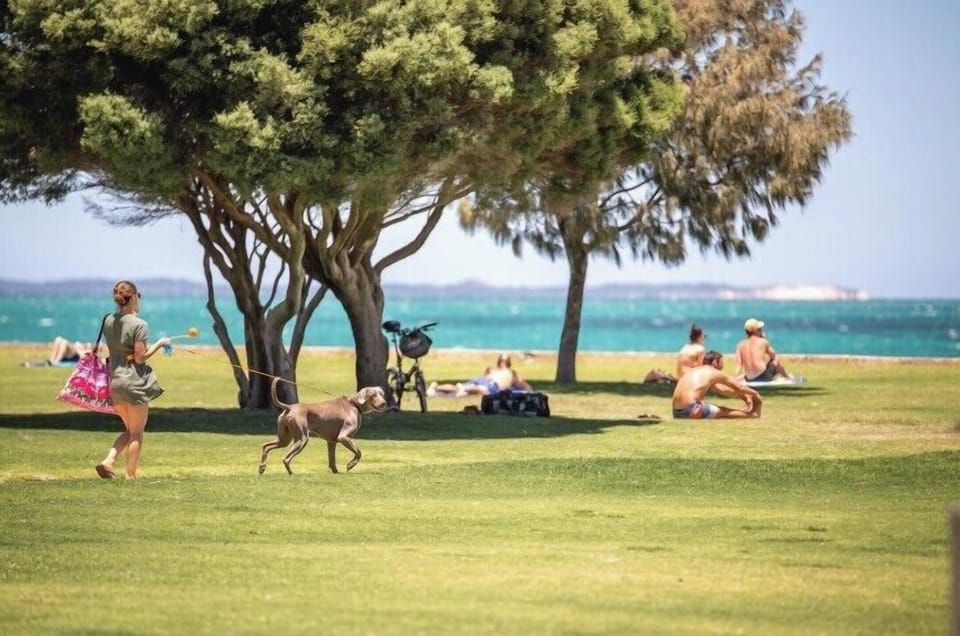 A lovely grassy park by the ocean — great for picnics, relaxing, or walking your furry friend.