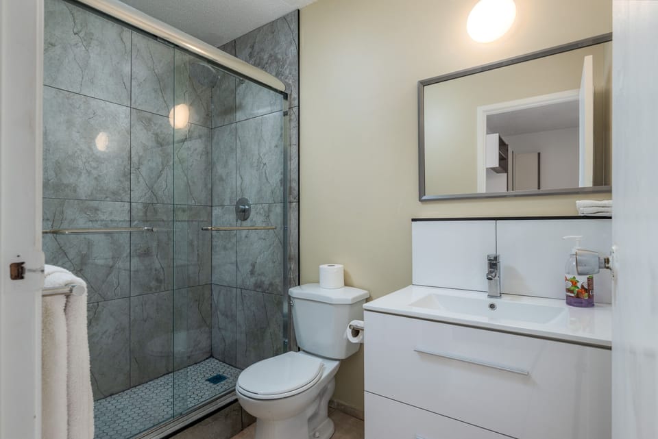 Jetted tub, free toiletries, hair dryer, towels