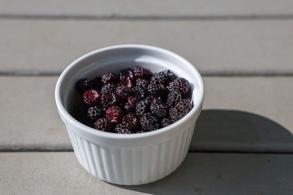 Blackberry bushes are found on our property