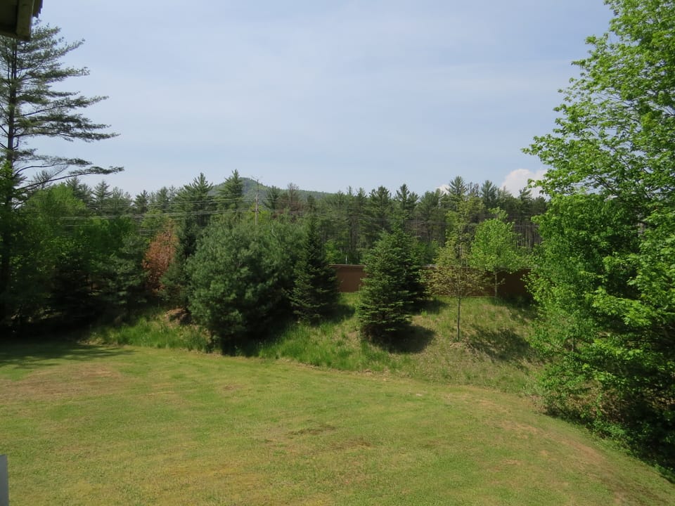 Deck View