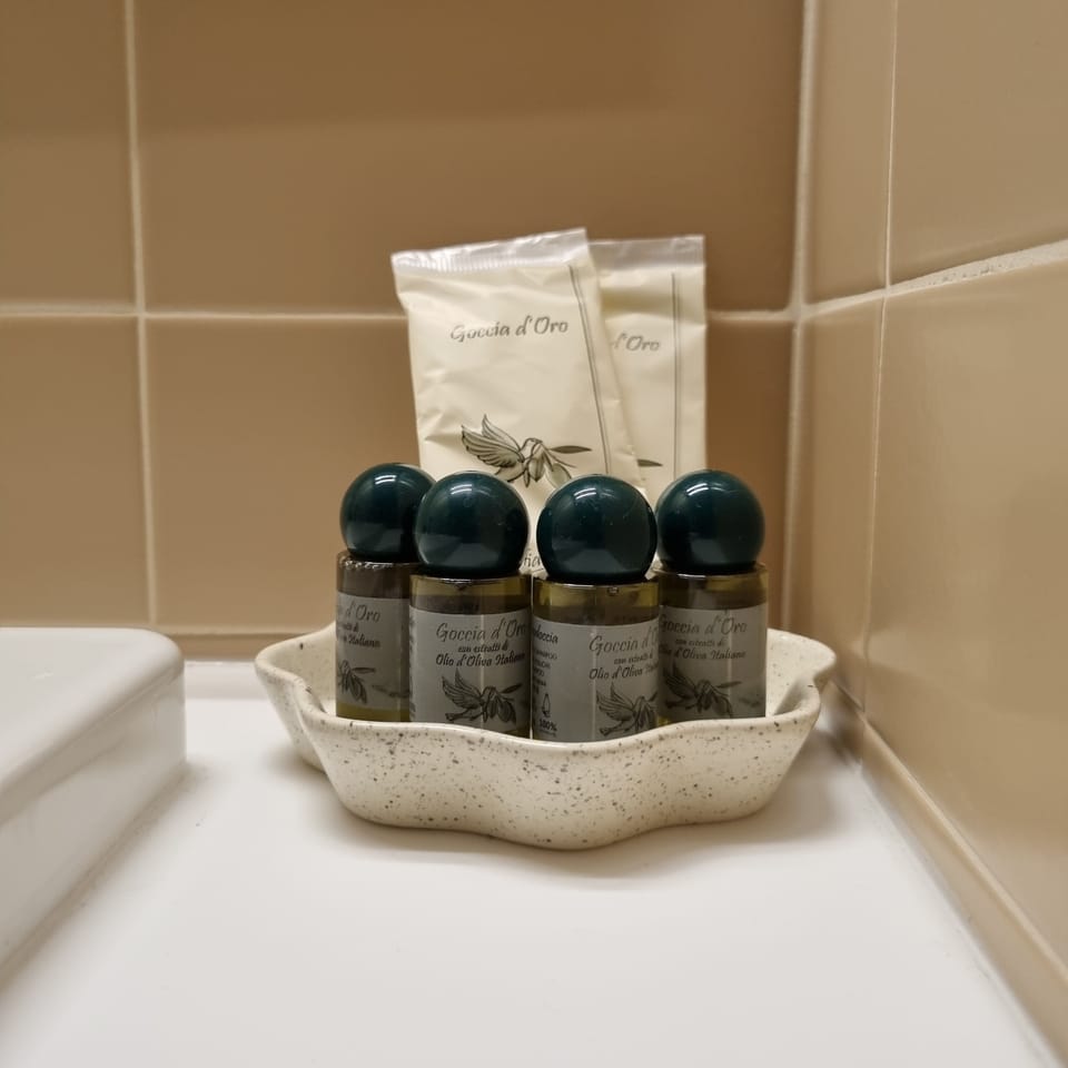Shower, free toiletries, hair dryer, bidet