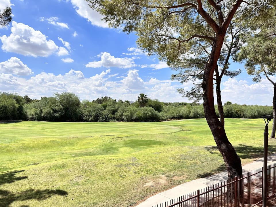 View looking West from the patio