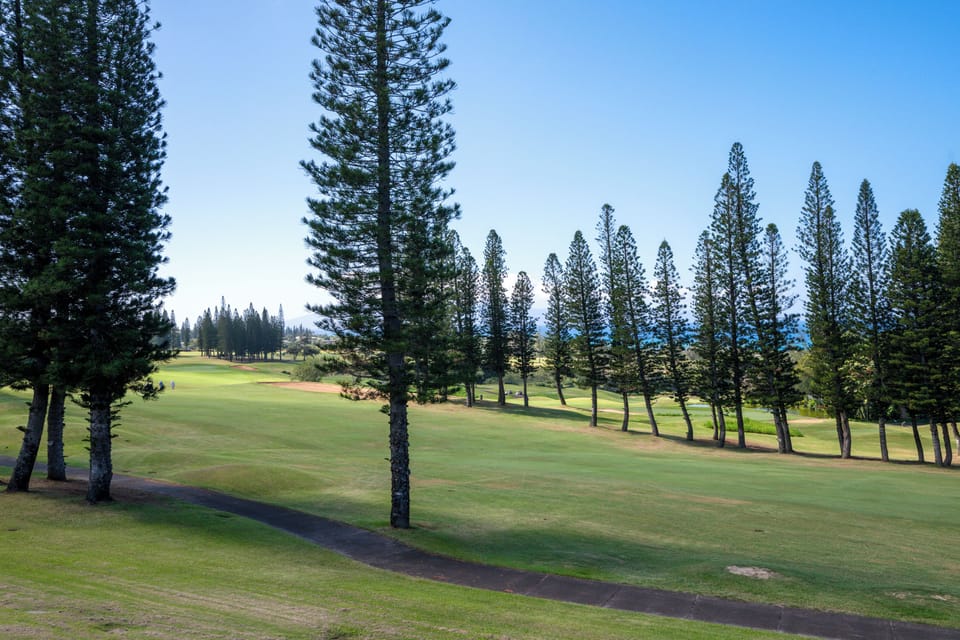 Tucked along the fairway, this golf course oasis invites you to unwind in peaceful luxury.