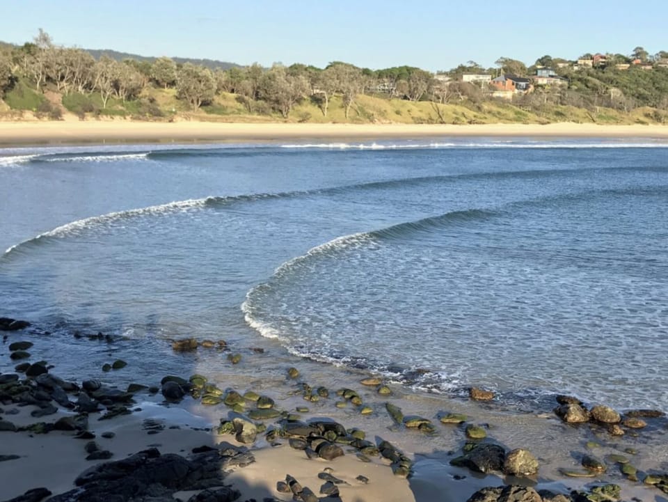 Scotts Head Beach