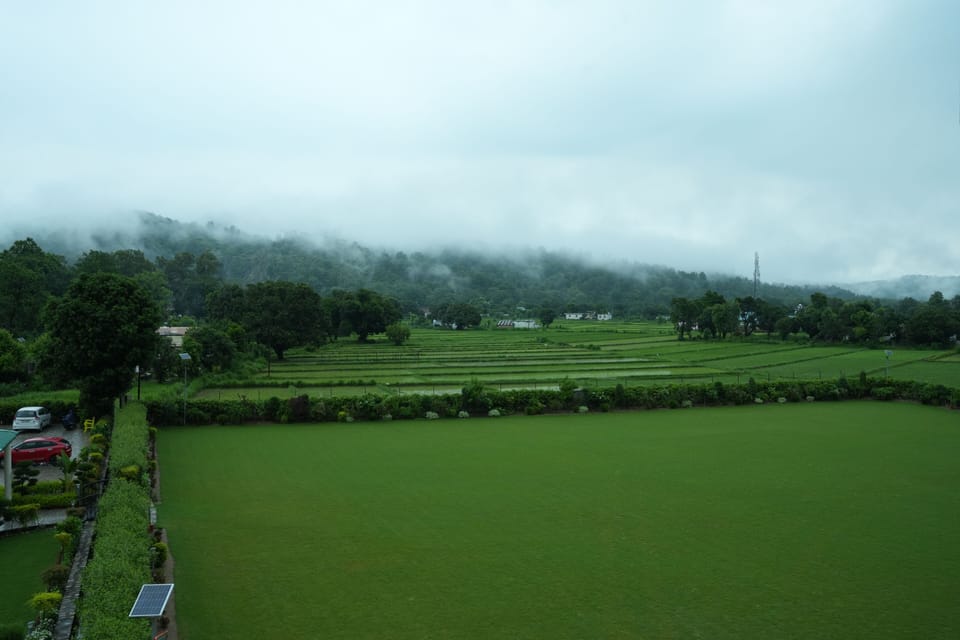 Luxury Room | View from room