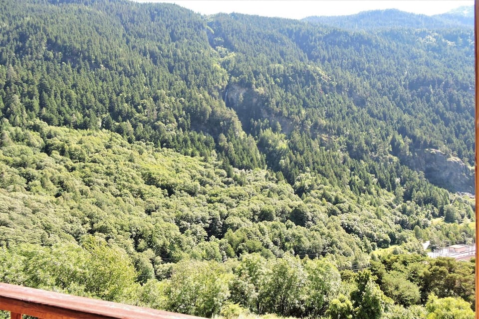 Patio / Balcony