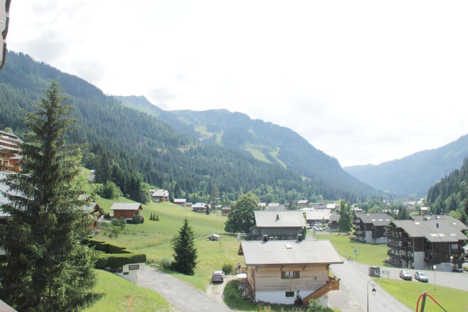 View from Holiday Home [summer]