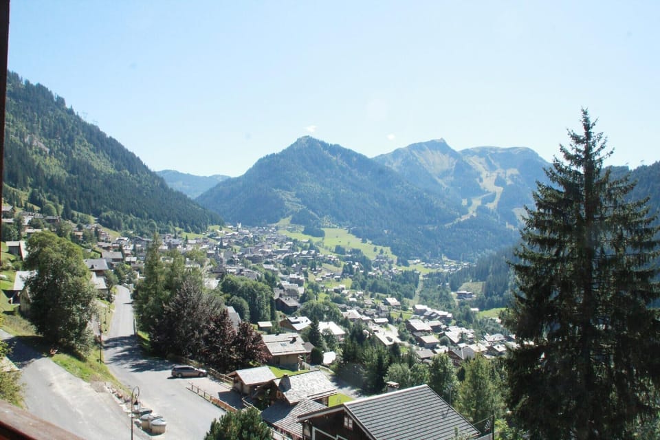 View from Holiday Home [summer]