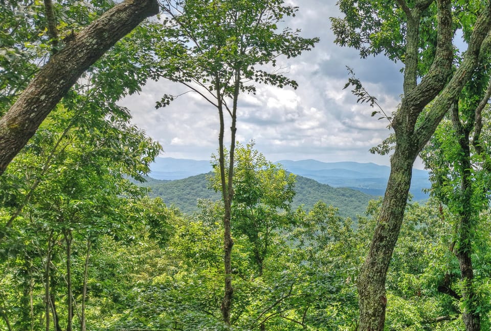 Pet-friendly, Elljay cabin rental with a fantastic view of the Georgia Mountains 