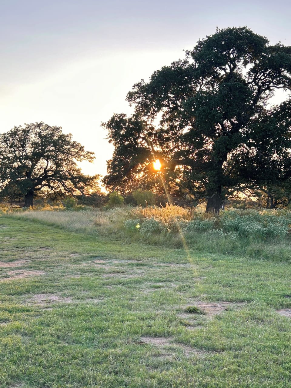 Sunset views