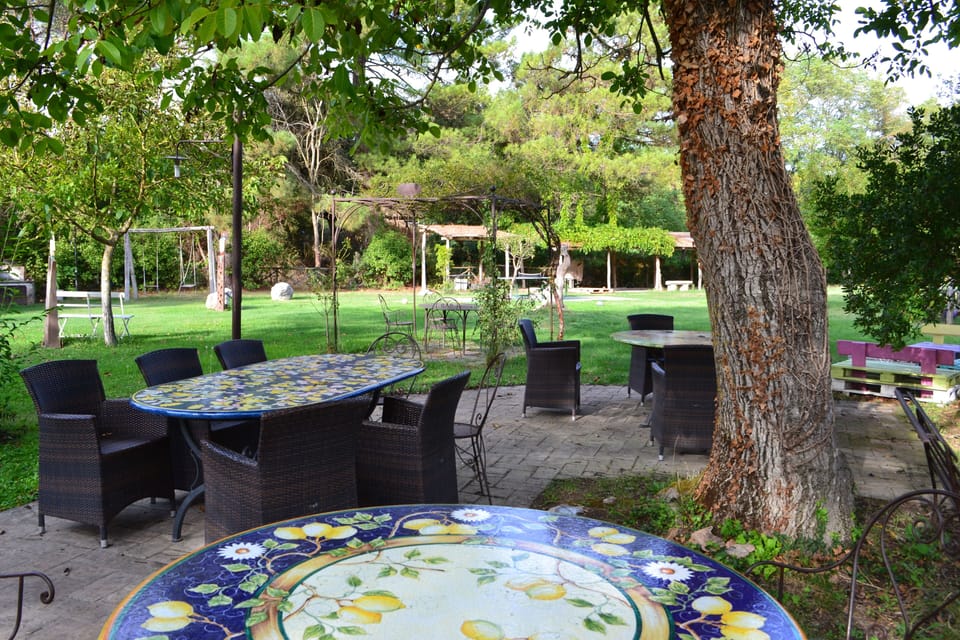 Garden