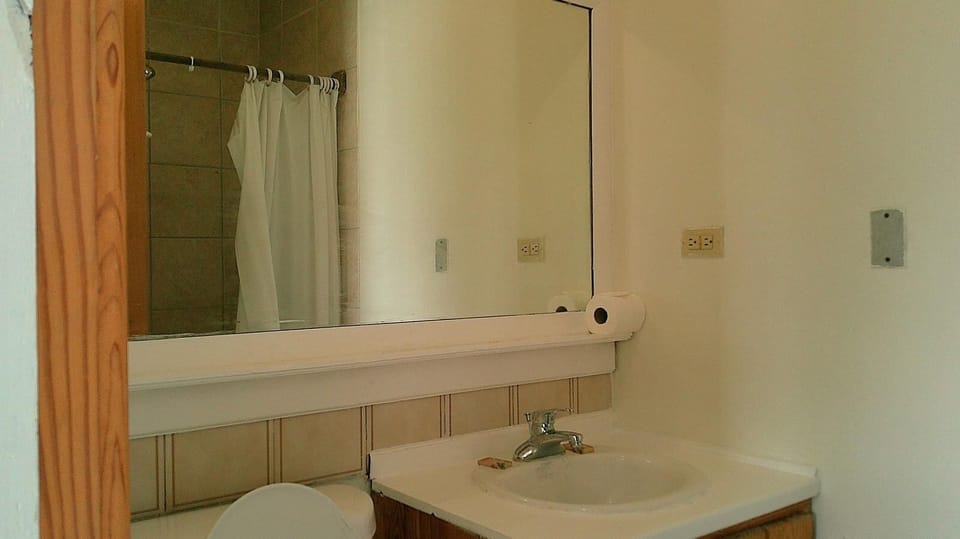 Basic Room | Bathroom | Shower, towels, soap, toilet paper