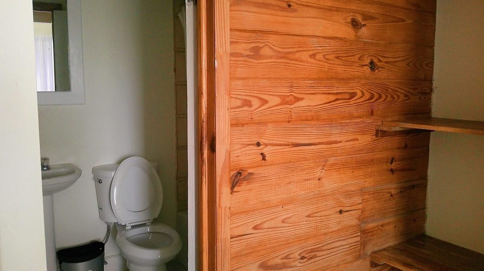 Basic Room | Bathroom | Shower, towels, soap, toilet paper