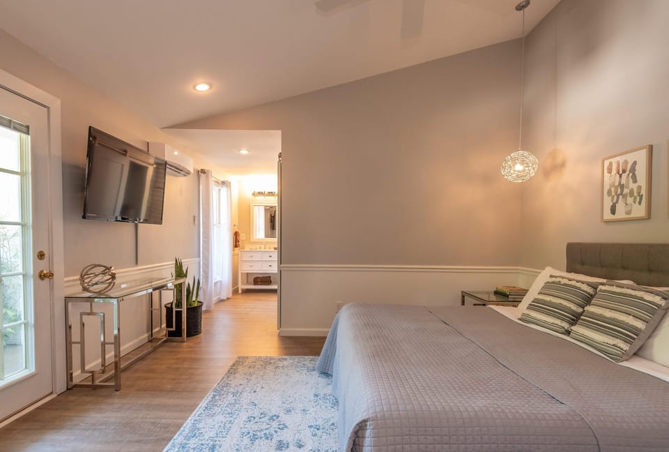King bed with striped pillows faces a wall-mounted TV, while a glass console table and potted plants line the wood floor.