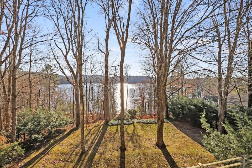 Peaceful wooded view looking out over Lake Garfield, framed by tall trees.