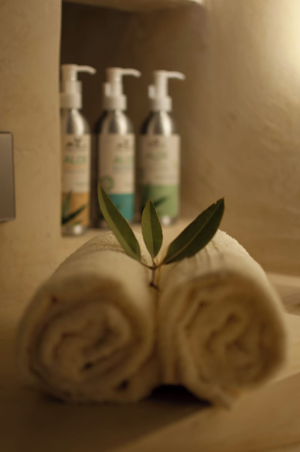 Shower, bathrobes, towels